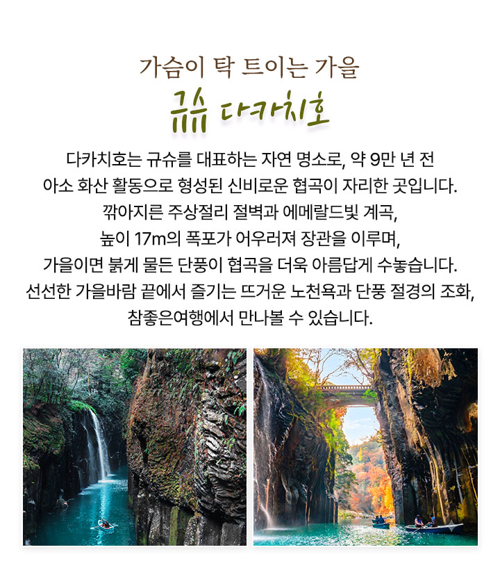 컨텐츠
