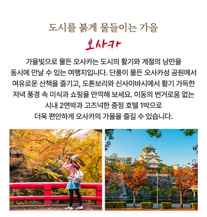 컨텐츠