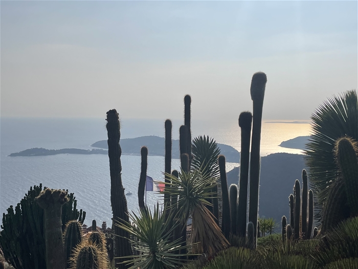 한낮의 햇살이 머무는 언덕 위 마을, 고요히 빛나는 에즈의 순간.
