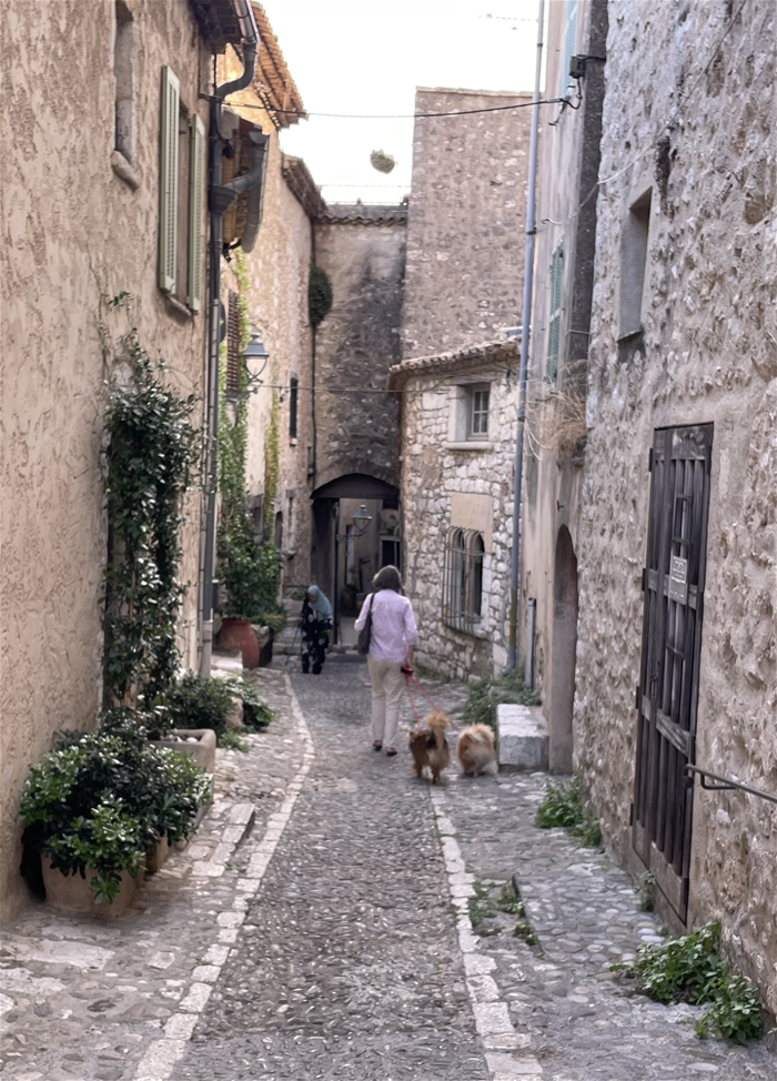 시간의 결이 스민 돌담 사이, 예술과 평온이 공존하는 생폴드방스.