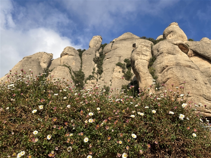 구름에 닿을 듯한 산 위에서 마주한 몬세라트의 웅장함.