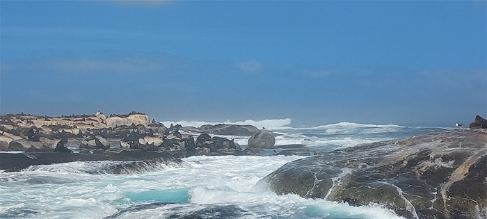 인생에 한 번은 아프리카!