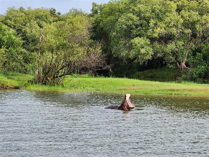 1일차 - 선셋크루즈 02