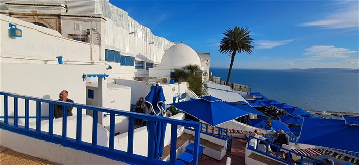 예술은 늘 가까이에, 튀니지 일주(2026 01 16 - 01 25)